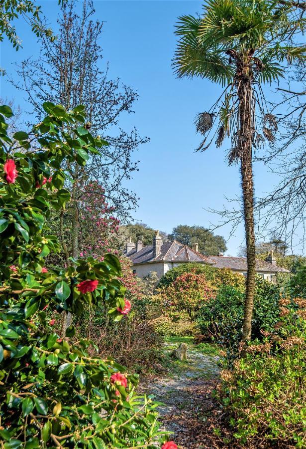 Bosvathick Cottage Konstantin Dış mekan fotoğraf